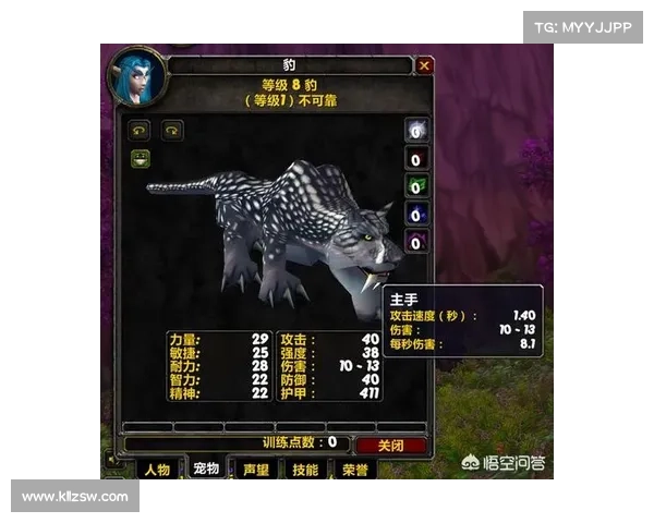 魔兽世界怀旧服：宠物升级攻略，快速提升战斗伙伴实力